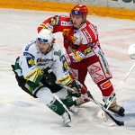 Varymale4.jpg